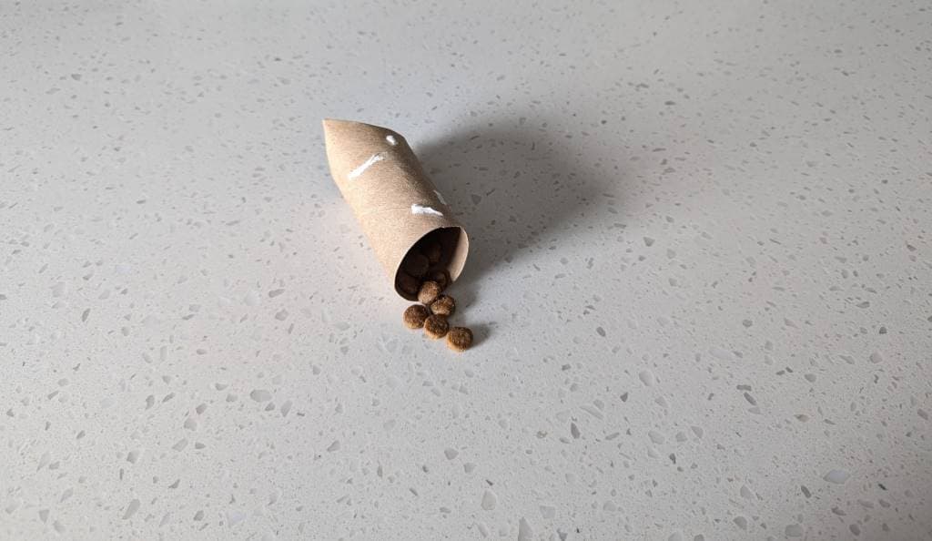 Toilet Roll Tube1